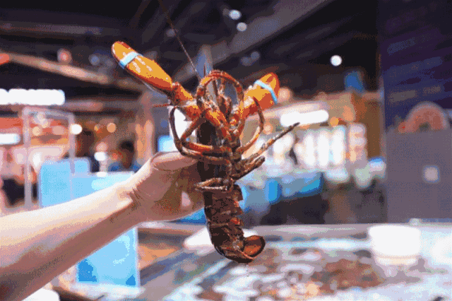 新零售力量的5个增长策略-传播蛙