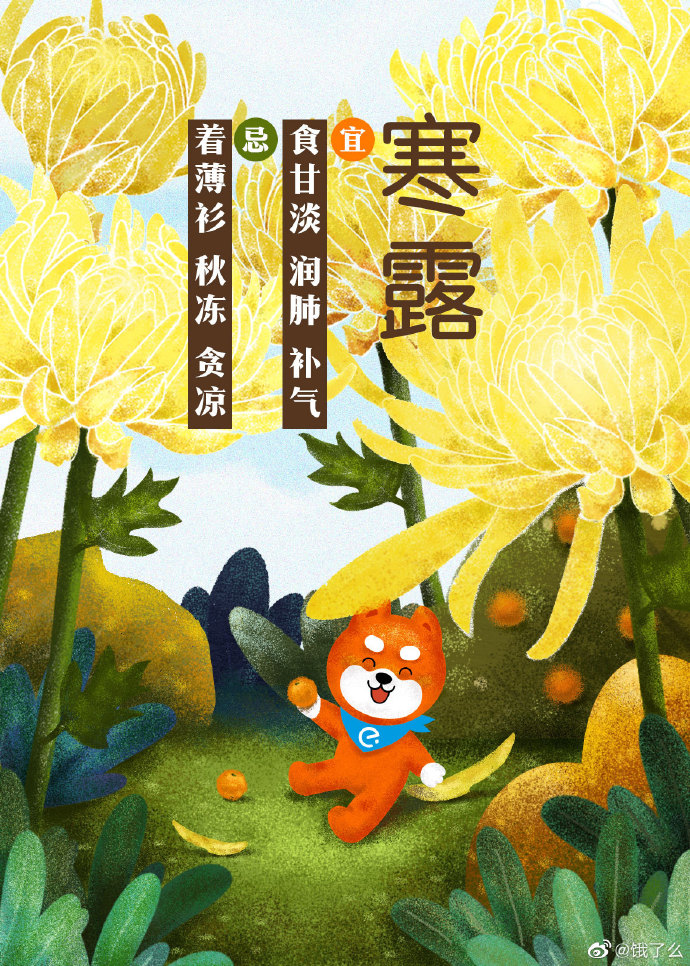 寒露海报合集，各品牌养生指南送上！