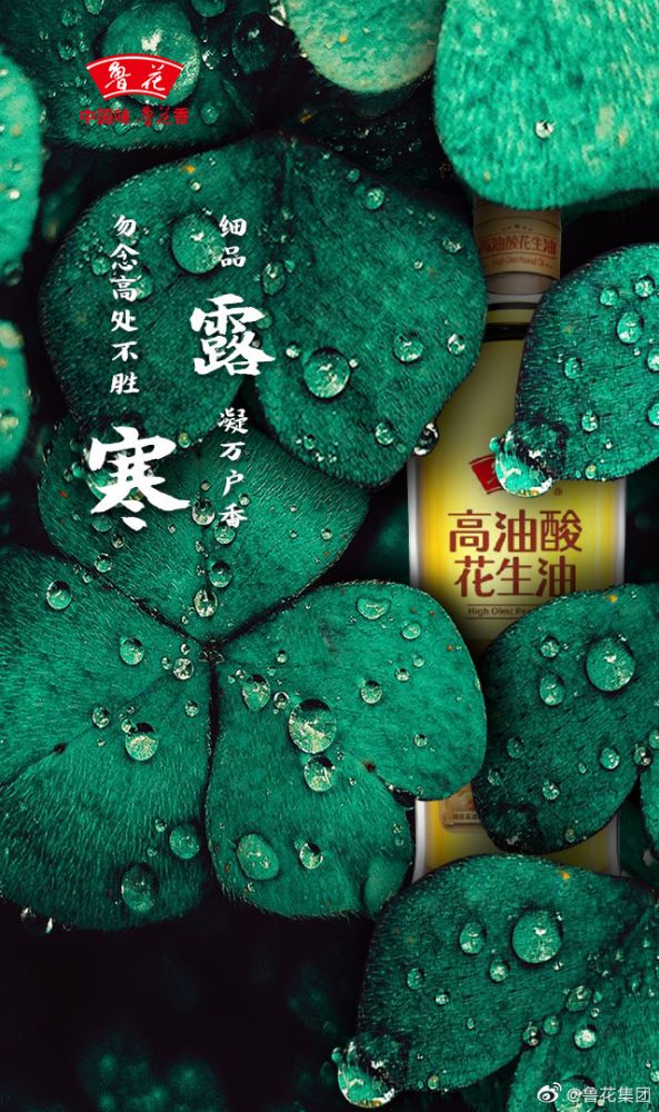 寒露海报合集，各品牌养生指南送上！