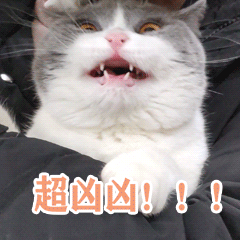 闲鱼改简历背后的营销套路-传播蛙