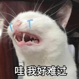 闲鱼改简历背后的营销套路-传播蛙