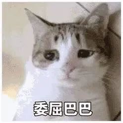 闲鱼改简历背后的营销套路-传播蛙