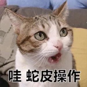 闲鱼改简历背后的营销套路-传播蛙