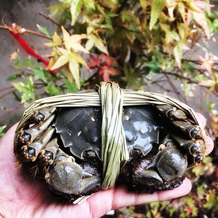 知乎零成本精准获客方法-传播蛙