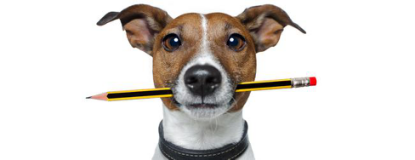 文案写作变收益的方式-传播蛙