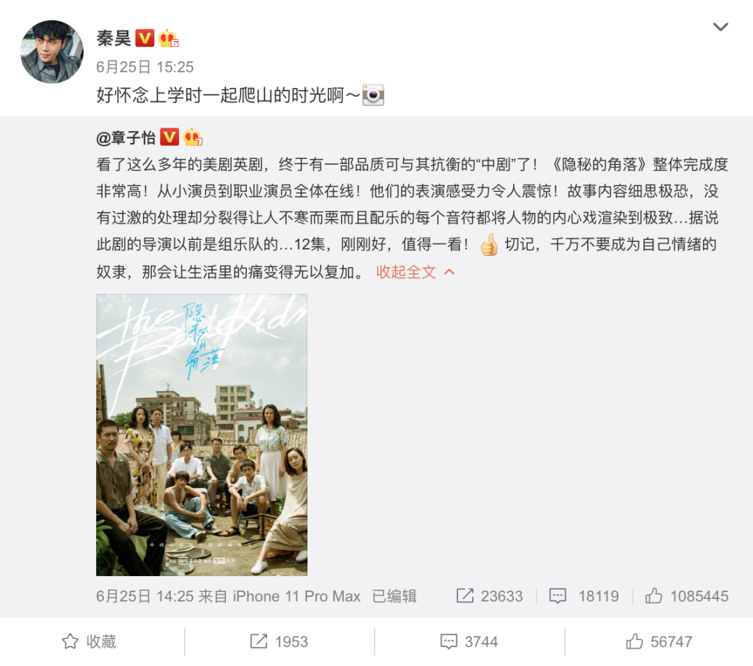 隐秘的角落火爆背后-传播蛙