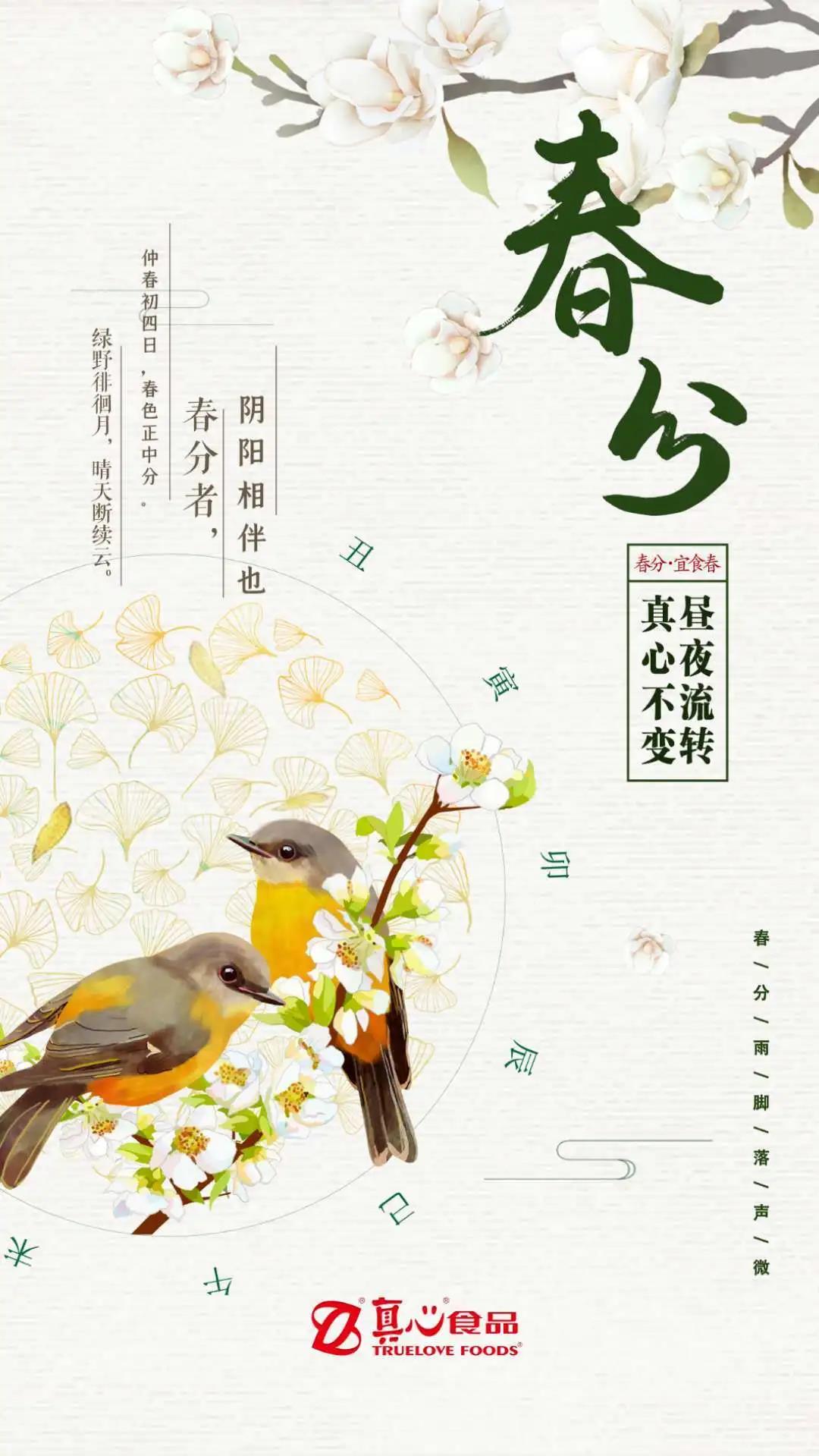 春分创意文案海报鉴赏-传播蛙