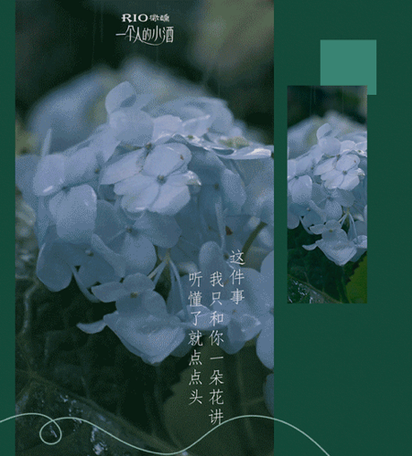 写好文案的拟人万能公式-传播蛙