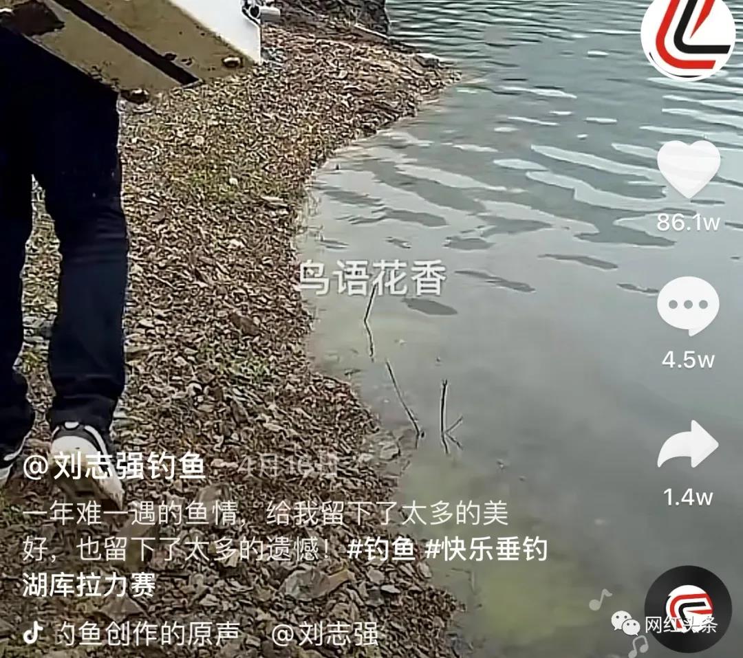 钓鱼网红刘志强的短视频运营涨粉秘籍-传播蛙
