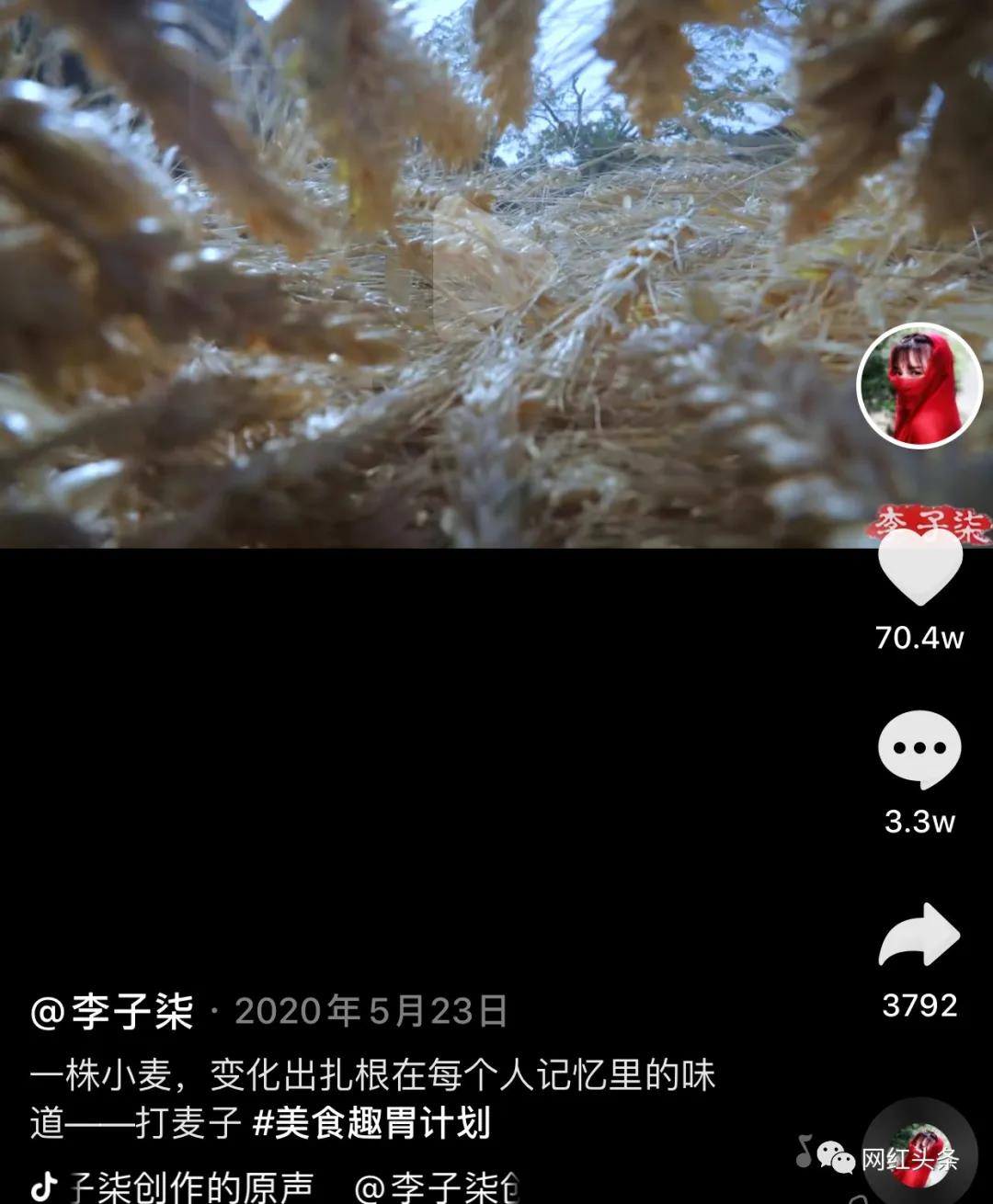 李子柒跻身头部网红的短视频运营方法-传播蛙