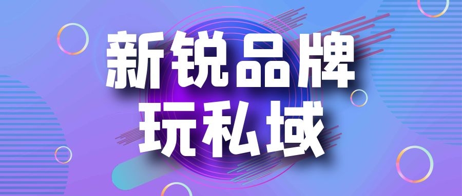 新锐品牌玩私域流量的新运营体系-传播蛙