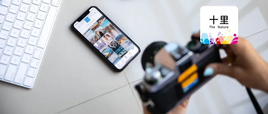 百万粉丝博主停更的背后思考-传播蛙