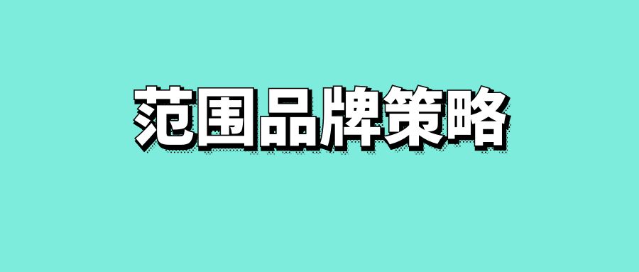 范围品牌策略-传播蛙