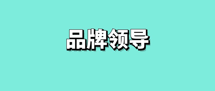 品牌领导-传播蛙