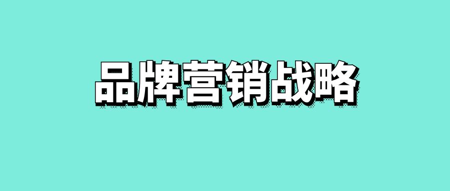 品牌营销战略-传播蛙