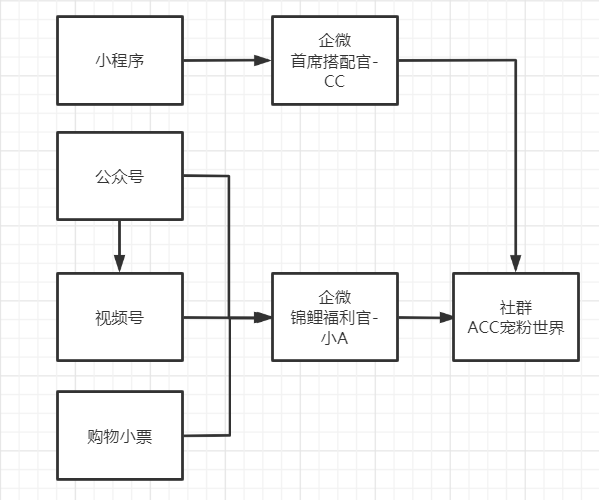 ACC超级饰私域运营案例布局分析-传播蛙