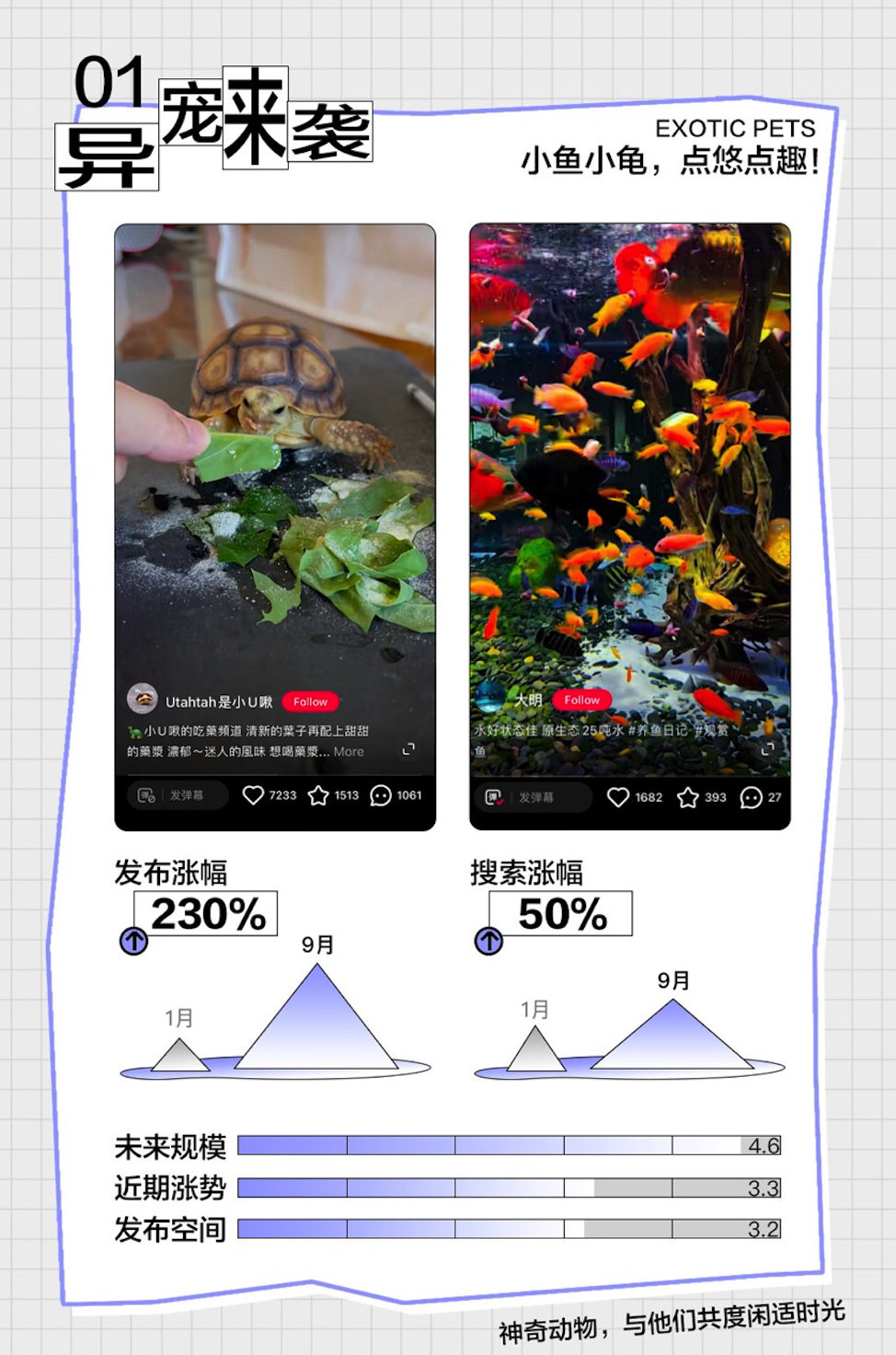 小红书博主如何寻找内容蓝海?-传播蛙