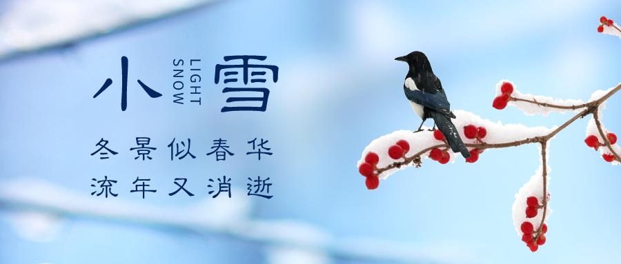 小雪借势创意文案赏析-传播蛙