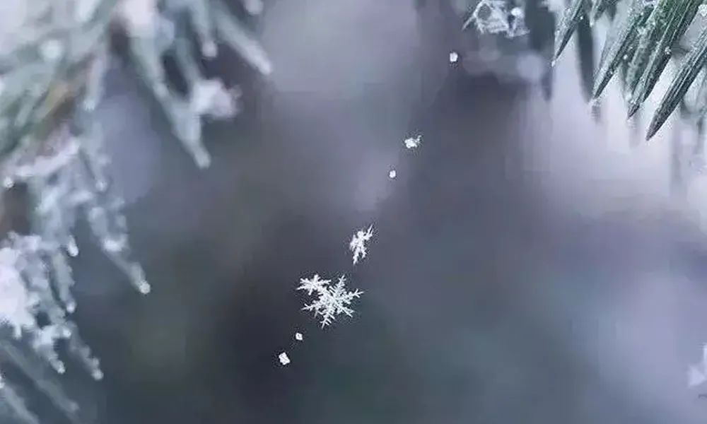 大雪节气朋友圈高质量的温暖文案-传播蛙