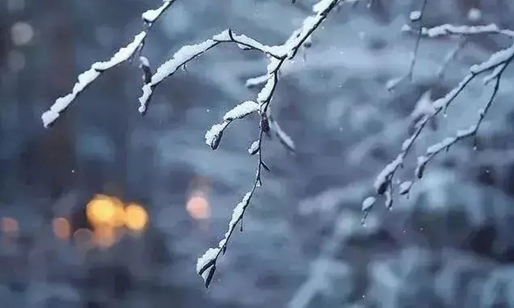 大雪节气朋友圈高质量的温暖文案-传播蛙