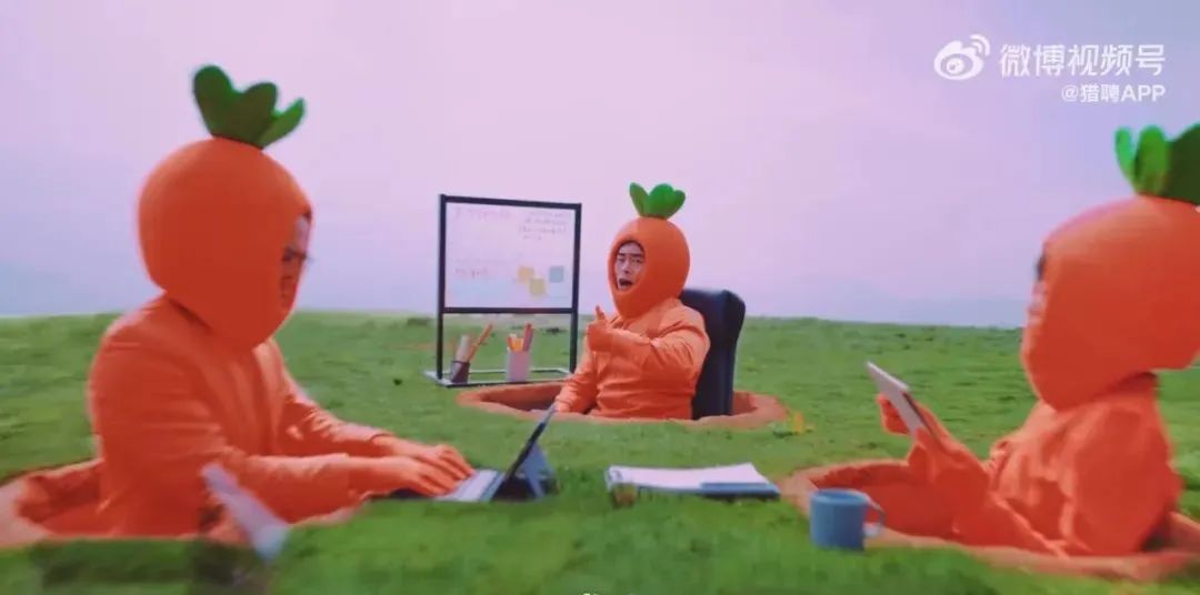 猎聘网品牌创意广告短片-传播蛙