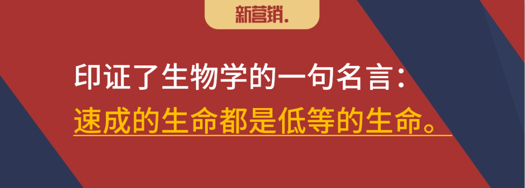 对IP的反思:IP有效,但IP有毒-传播蛙