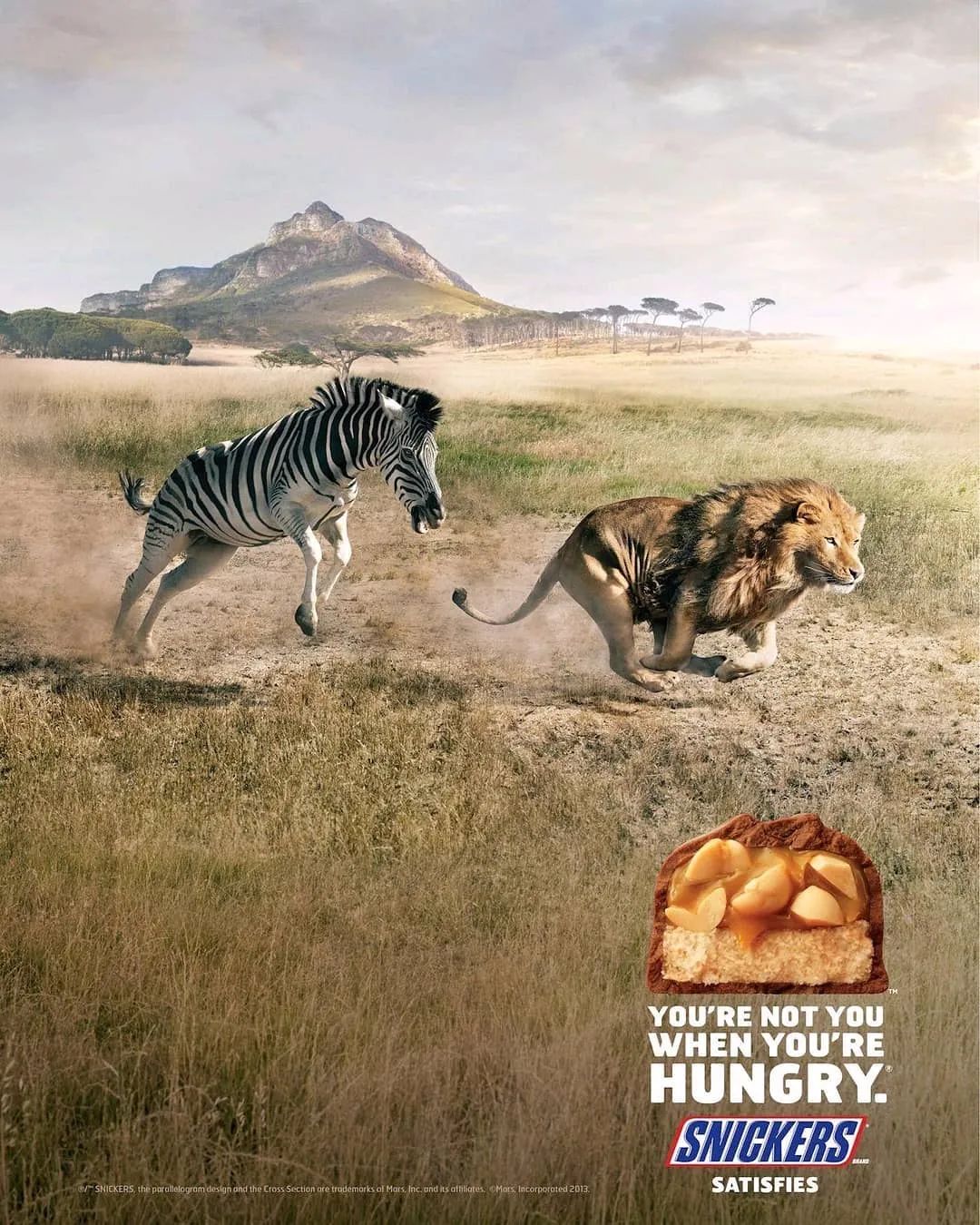 文案的本质就是充当这个世界的翻译-传播蛙