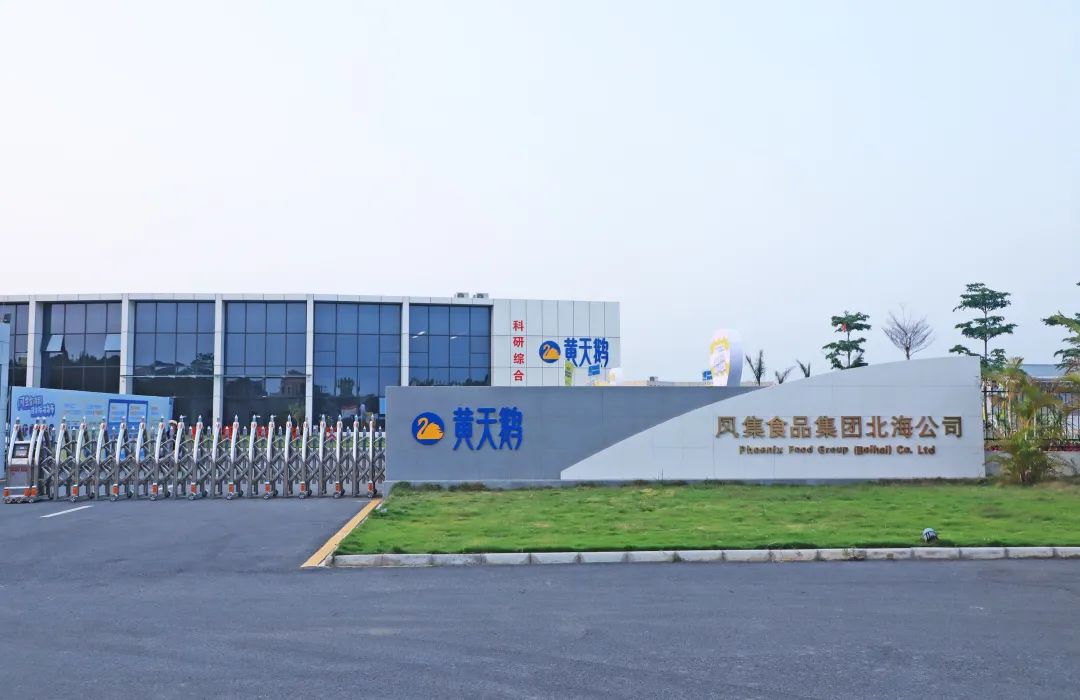 黄天鹅合伙人刘勇:瞄准真需求和执着于品质-传播蛙