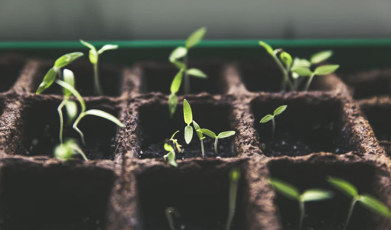 理解“长视频营销价值”的四个关键问题-传播蛙