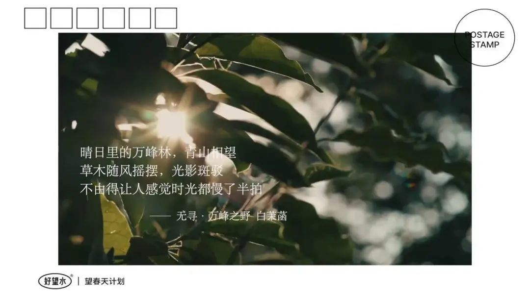 好望水的品牌创意文案赏析-传播蛙