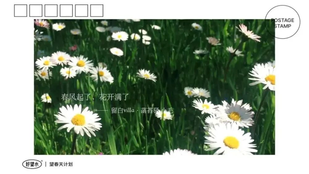 好望水的品牌创意文案赏析-传播蛙