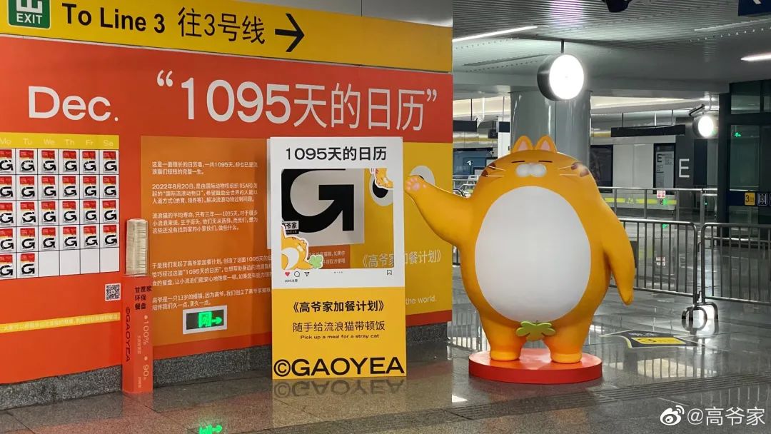 “国产口碑猫粮”高爷家将产品力做到极致的案例-传播蛙