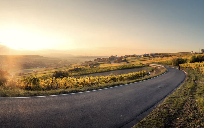 品牌种草的确定性与规模化-传播蛙
