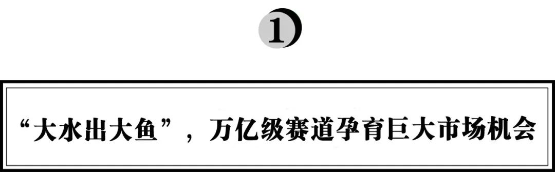 零食很忙全国化品牌“破圈”营销案例分析-传播蛙