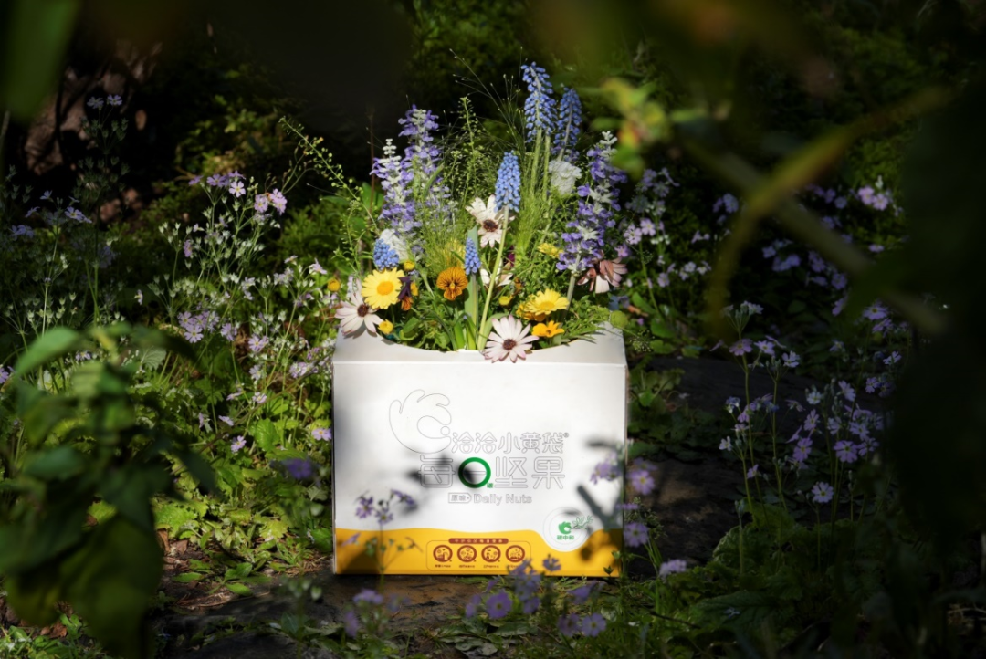 洽洽小黄袋的环保营销案例分析-传播蛙