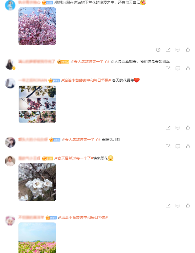 洽洽小黄袋的环保营销案例分析-传播蛙