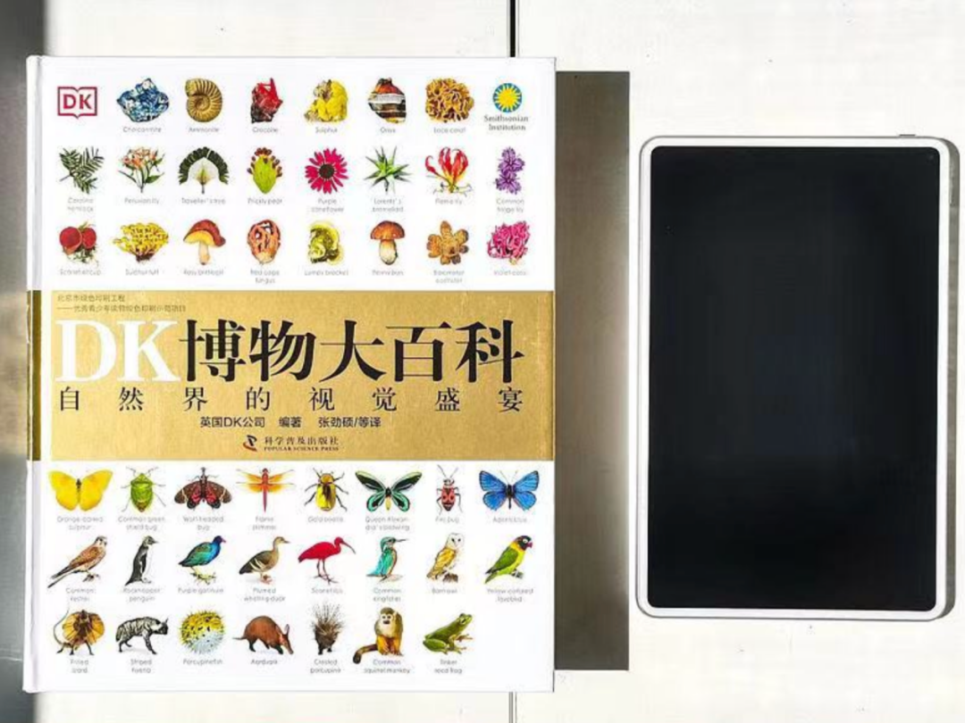 DK大百科畅销密码:专业,体系,做简单的生意-传播蛙