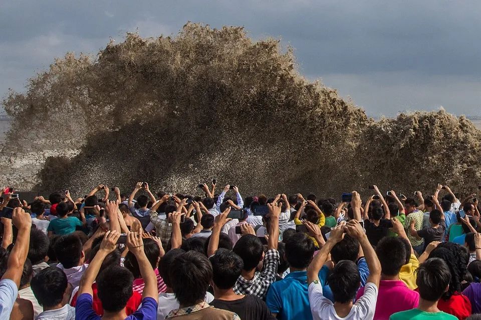 整合品牌传播:如何做好传播-传播蛙