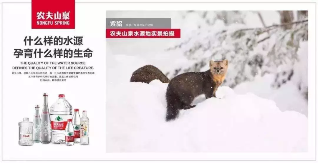 整合品牌传播:如何做好传播-传播蛙