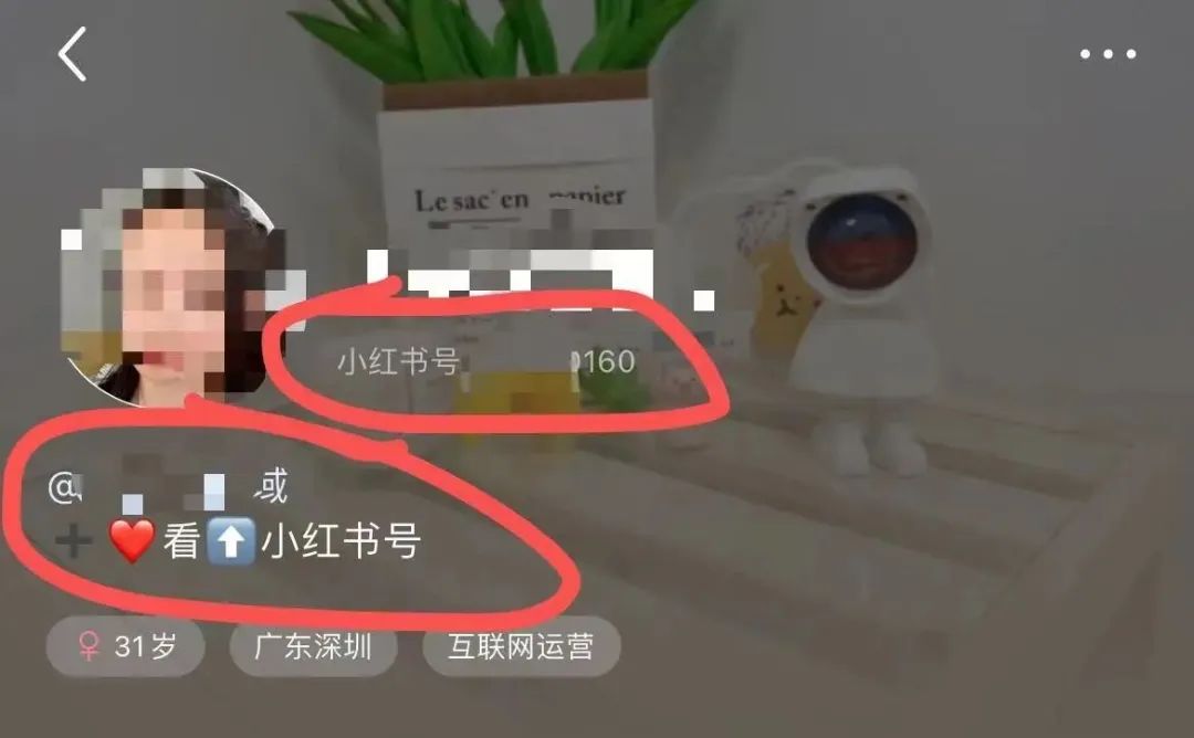 小红书私域引流获客的方法-传播蛙