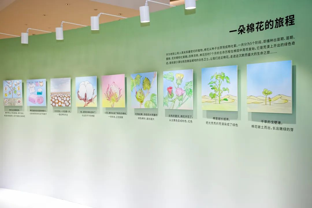 全棉时代开展“你好 棉花色”主题展览与时尚秀刷屏营销-传播蛙