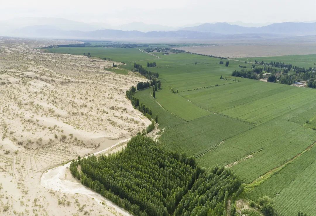 全棉时代开展“你好 棉花色”主题展览与时尚秀刷屏营销-传播蛙