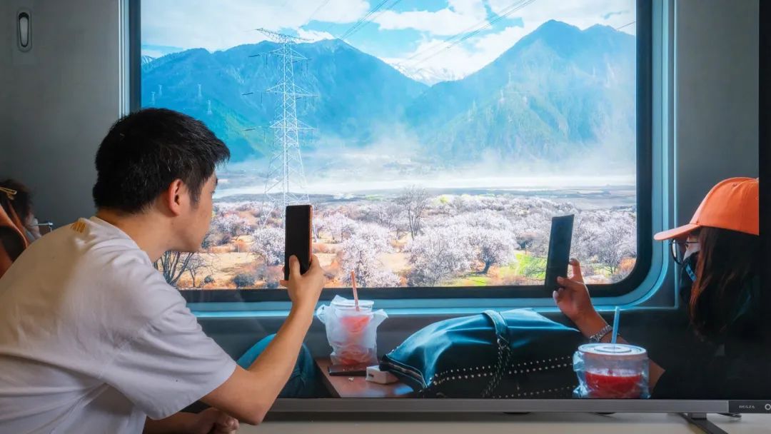 东芝电视开辟客厅营销新战场-传播蛙