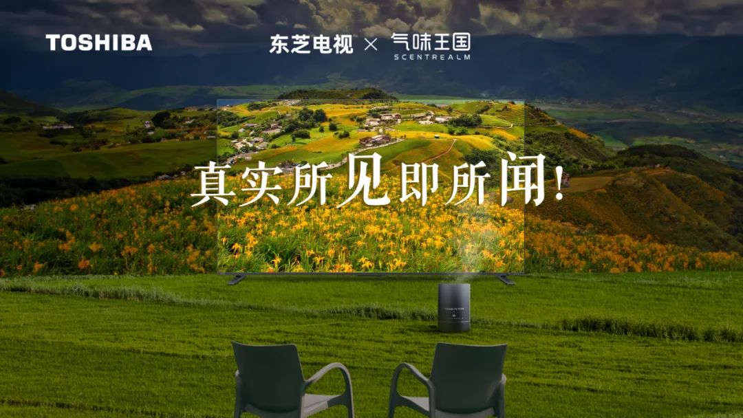 东芝电视开辟客厅营销新战场-传播蛙