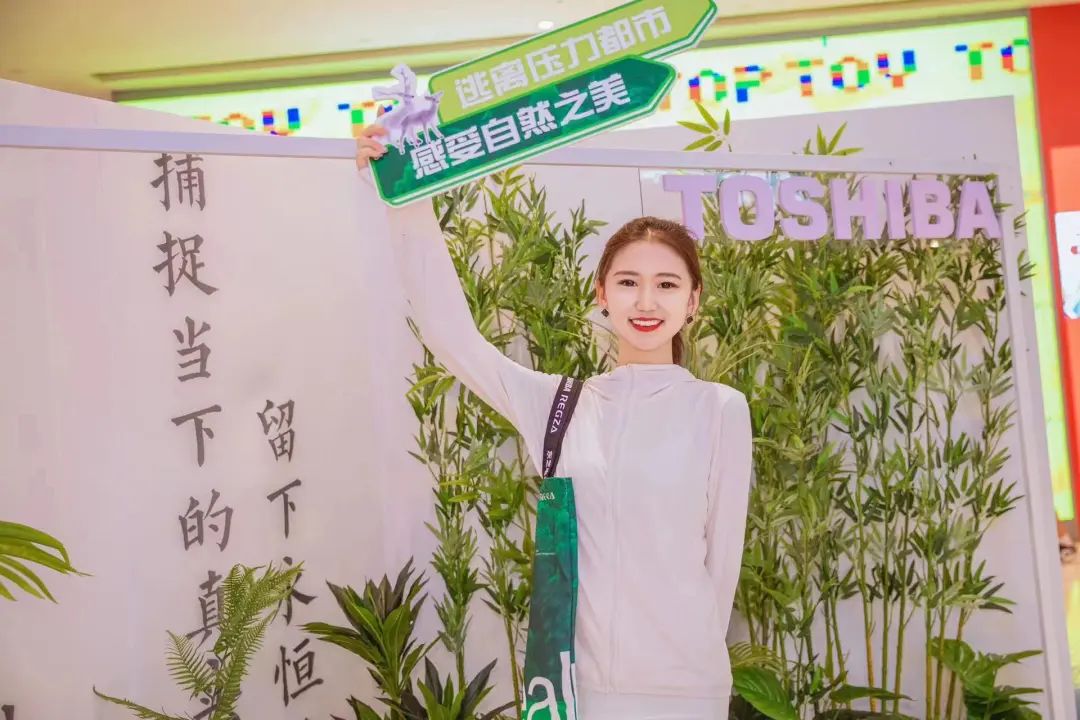 东芝电视开辟客厅营销新战场-传播蛙