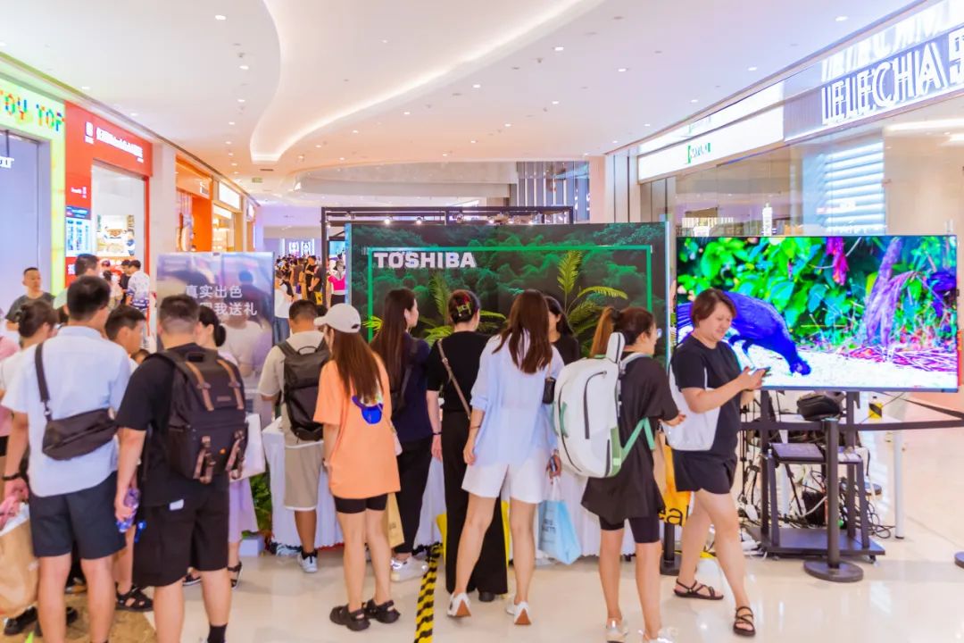 东芝电视开辟客厅营销新战场-传播蛙