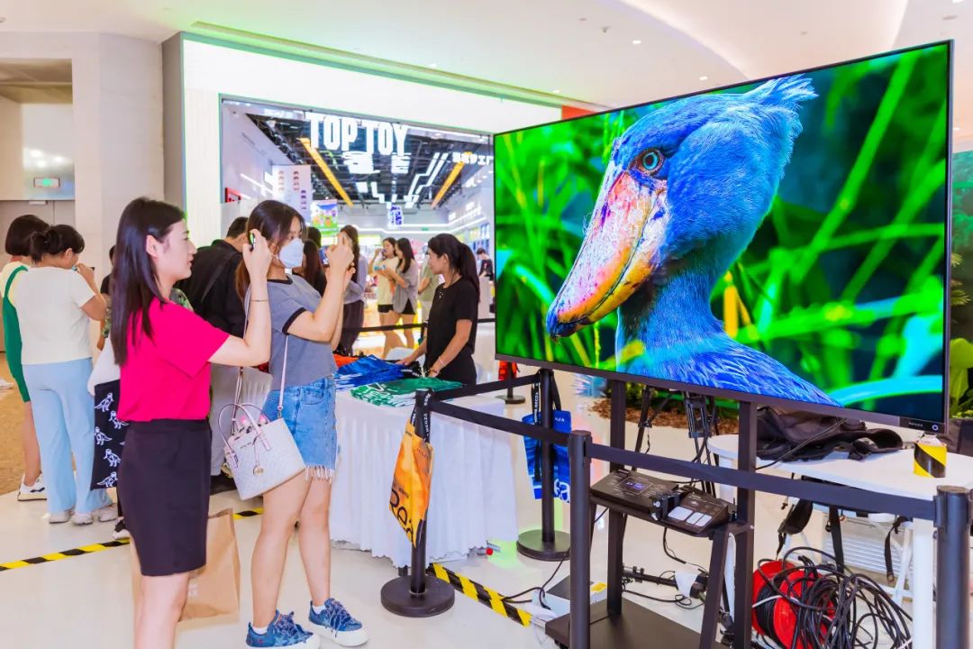 东芝电视开辟客厅营销新战场-传播蛙