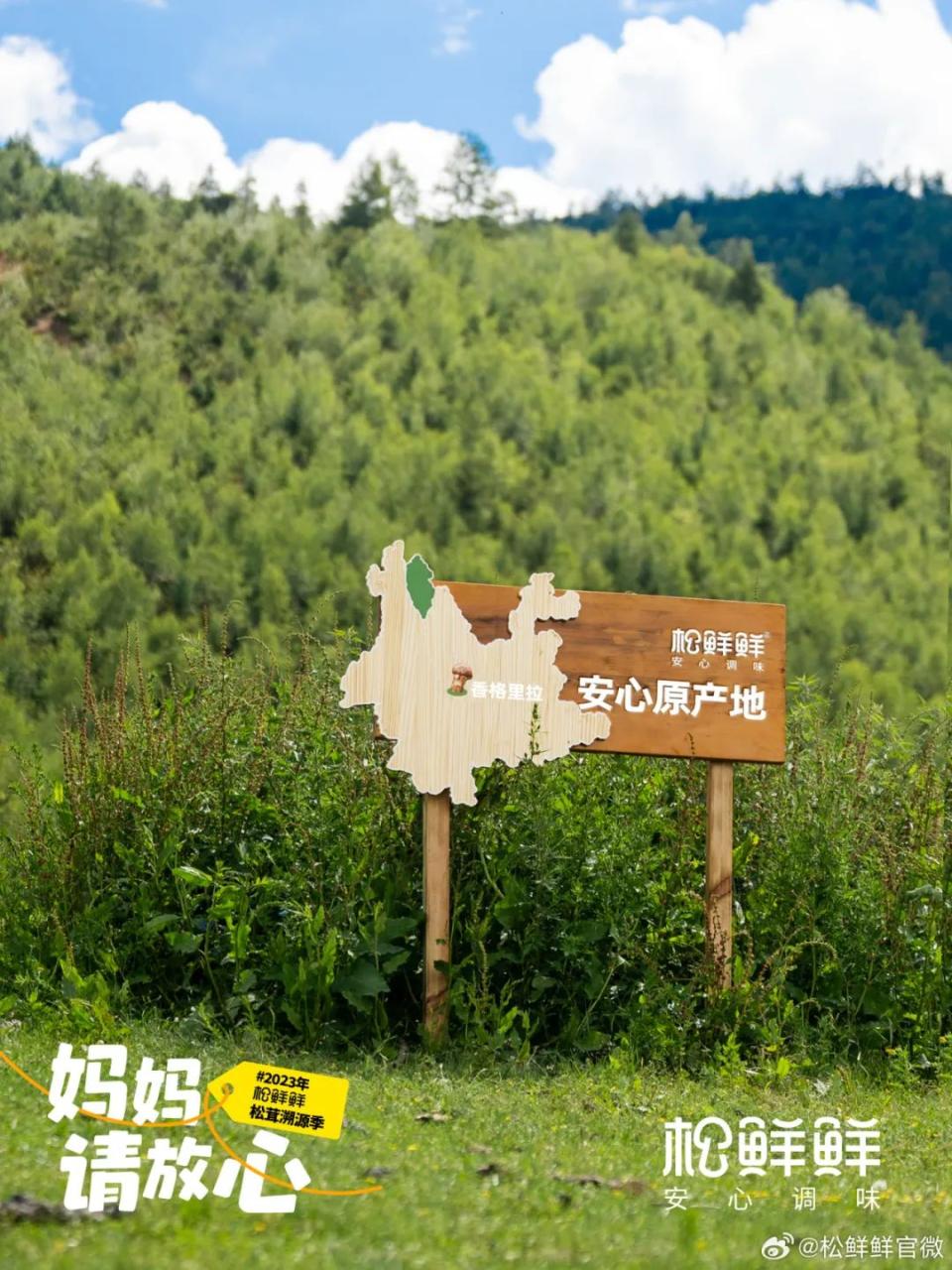 品效合一:如何让声量与销量齐飞、曝光共卖光兼得?-传播蛙