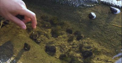 李子柒回归爆屏全网-传播蛙