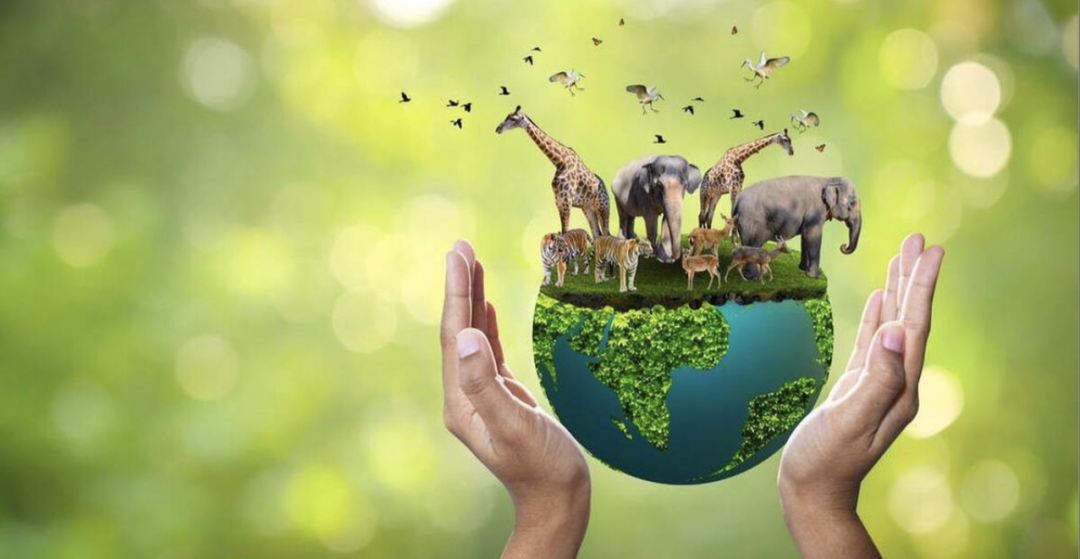 10月营销热点日历-传播蛙